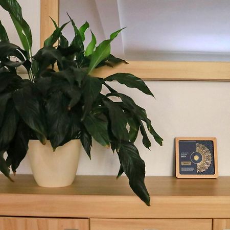 Apartmany Na Sumave Kasperske Hory Buitenkant foto